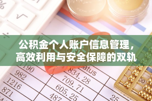余江公积金个人账户信息管理，高效利用与安全保障的双轨并行
