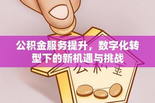 余江公积金服务提升，数字化转型下的新机遇与挑战