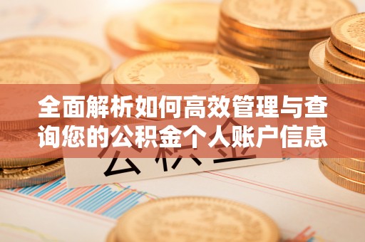 余江全面解析如何高效管理与查询您的公积金个人账户信息