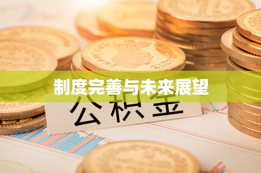 余江制度完善与未来展望