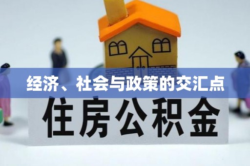 余江经济、社会与政策的交汇点