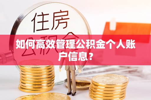 余江如何高效管理公积金个人账户信息？