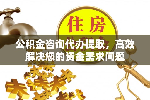 余江公积金咨询代办提取，高效解决您的资金需求问题