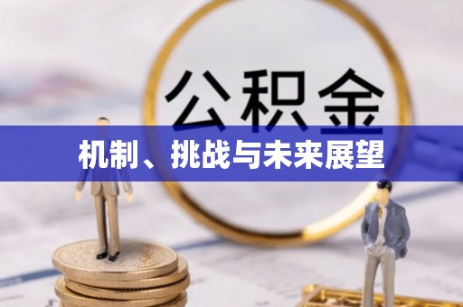 余江机制、挑战与未来展望