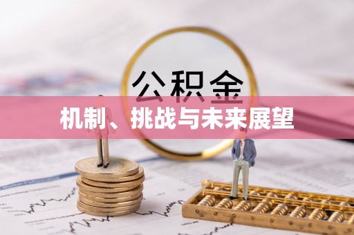 余江机制、挑战与未来展望